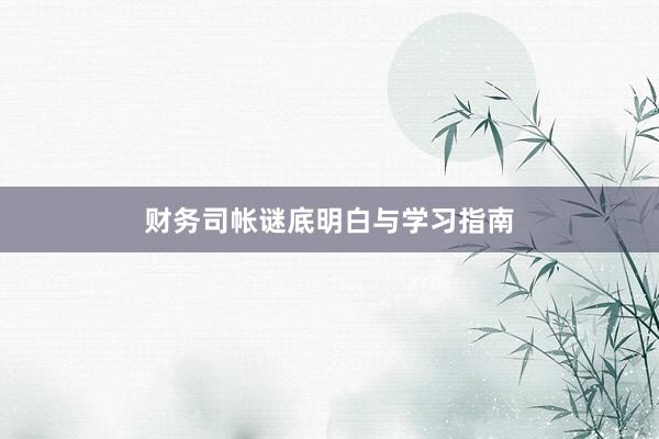 财务司帐谜底明白与学习指南